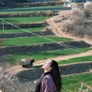 北京旅游 缩略图 2