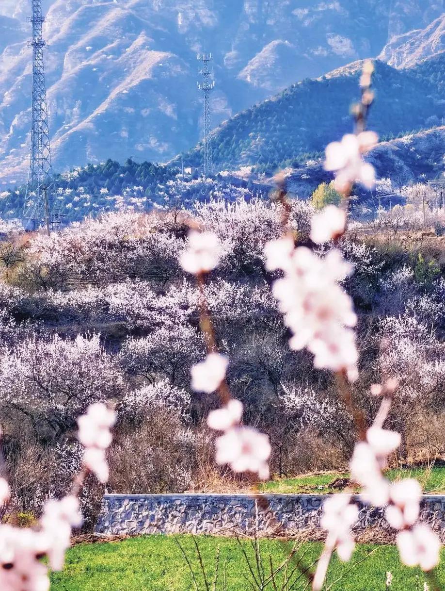 北京旅游