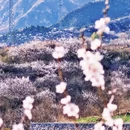 北京旅游 缩略图 1