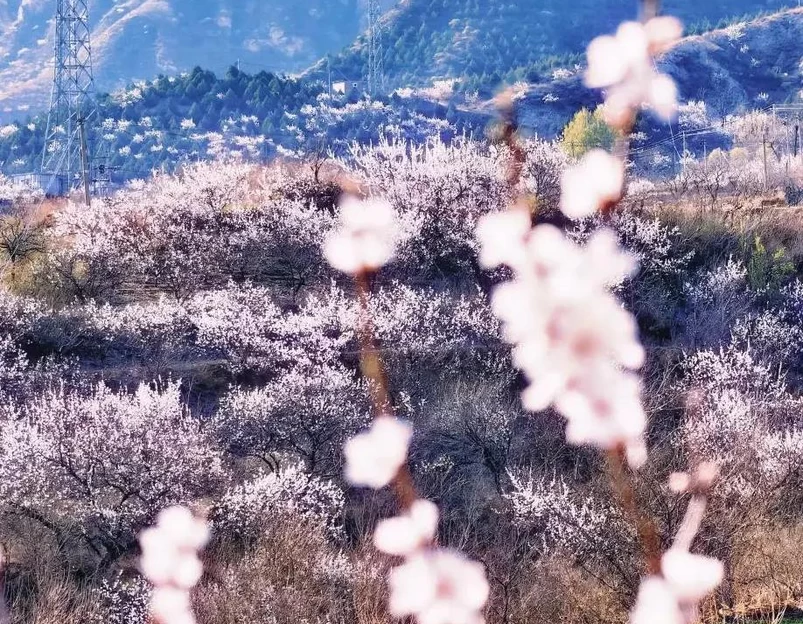 北京旅游 1