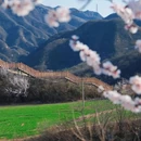 北京旅游 缩略图 3