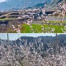 北京旅游 缩略图 18