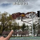 拉萨旅游 缩略图 4