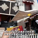 拉萨旅游 缩略图 15