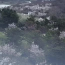 宁波旅游 缩略图 6