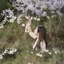 宁波旅游 缩略图 4