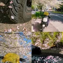 上海旅游 缩略图 4