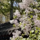 北京旅游 缩略图 4