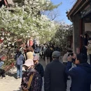 北京旅游 缩略图 10