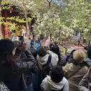 北京旅游 缩略图 11