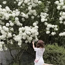 杭州旅游 缩略图 6