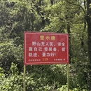 黄石旅游 缩略图 4