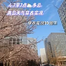青岛旅游 缩略图 1