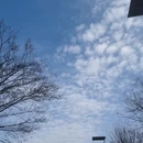 青岛旅游 缩略图 3