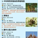 西双版纳旅游 缩略图 1