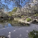 上海旅游 缩略图 1
