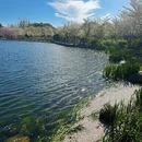 上海旅游 缩略图 2