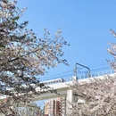 上海旅游 缩略图 6