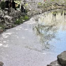 上海旅游 缩略图 2