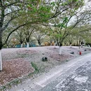 北京旅游 缩略图 15