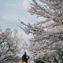 青岛旅游 缩略图 2