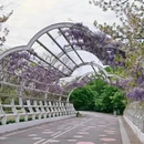 北京旅游 缩略图 13