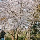 青岛旅游 缩略图 3