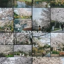 青岛旅游 缩略图 1