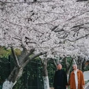 青岛旅游 缩略图 4