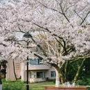 青岛旅游 缩略图 8