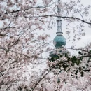 青岛旅游 缩略图 10