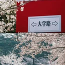 青岛旅游 缩略图 13
