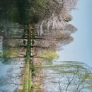 青岛旅游 缩略图 18