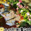 北京旅游 缩略图 1