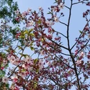 北京旅游 缩略图 5