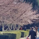 大连旅游 缩略图 6