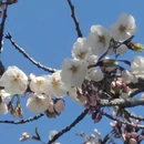 大连旅游 缩略图 11