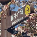 大连旅游 缩略图 14