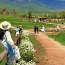 丽江旅游 缩略图 9