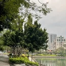 厦门旅游 缩略图 3