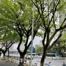 厦门旅游 缩略图 7