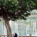 厦门旅游 缩略图 4
