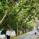 厦门旅游 缩略图 5
