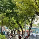 厦门旅游 缩略图 6