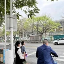 厦门旅游 缩略图 10