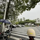 厦门旅游 缩略图 13