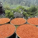 黄山旅游 缩略图 5