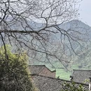 黄山旅游 缩略图 6