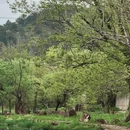 上饶旅游 缩略图 9