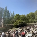 南京旅游 缩略图 4